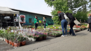 Výstaviště Flora: První Zahradnické trhy se povedly!
