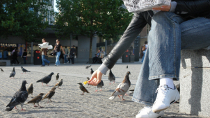 Nové olomoucké vyhlášky: čistota ve městě