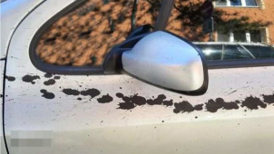 Umělec v Olomouci pocákal barvou cizí auta