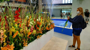 Letní Flora Olomouc připomene léčivou moc přírody