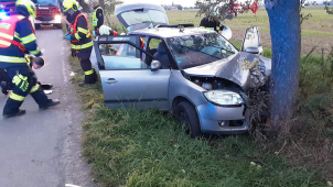 Auto u Renot narazilo do stromu, pět lidí je zraněných