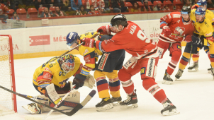 Místo odloženého domácího zápasu proti Litvínovu si hokejisté HC