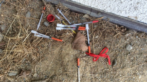 Strážníci v Olomouci opět řešili injekční stříkačky