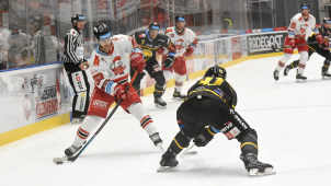 Hokejisté HC Olomouc si poradili s Litvínovem