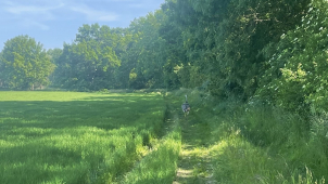 U Chomoutova si užíval svobodu velký pták nandu pampový