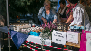 Na borůvky? Do Malé Morávky