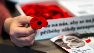 Dnes si připomínáme Den válečných veteránů