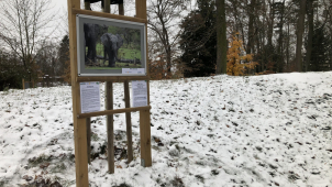 V zámeckém parku ve Velké Bystřici potkáte slony