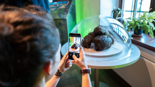 Pevnost poznání nabízí novou expozici o záchraně slonů