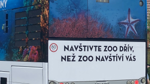 Hrozí nám zoo, že vypustí zvířata do města?