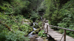 Vouchery na pobyty v Jeseníkách zmizely za pouhých dvanáct hodin