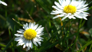 Velikonoční víkend bude slunečný