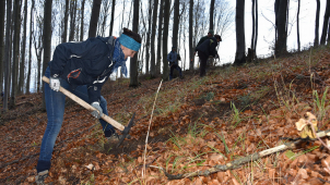 Pomůžete 19. října v Radíkově obnovit lesy po kůrovci?