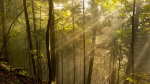 Oproti sobotě pár stupňů přibude, ale na triko už to nebude