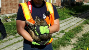 13 kuriózních případů, které letos řešili hasiči v kraji