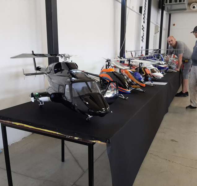 Výstava modelů na Floře dnes pokračuje!