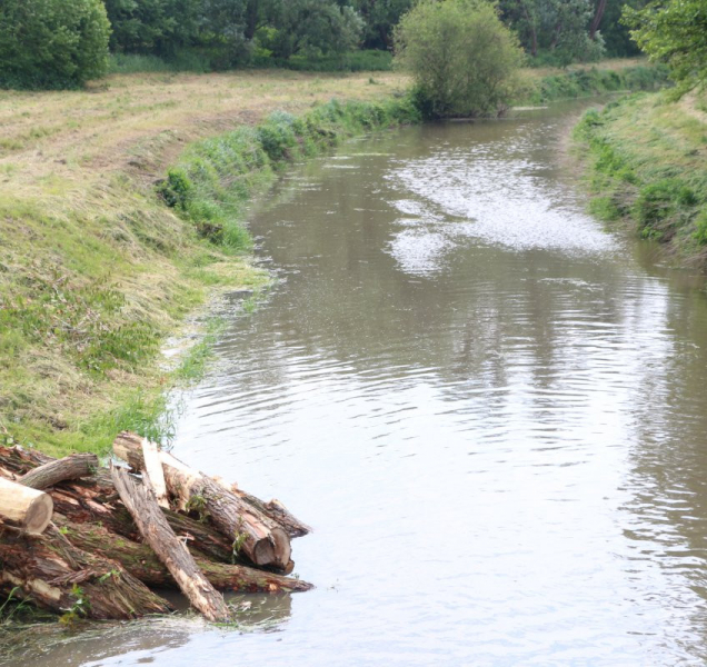 Kraj chce zabránit suchu i povodním. Zpracovává studii