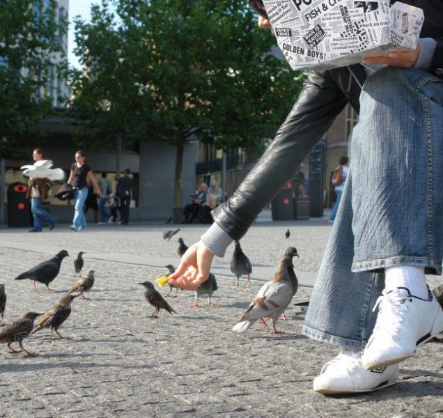 V Olomouci platí nová vyhláška o udržování pořádku a čistoty