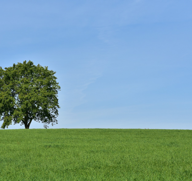 Rtuť teploměru dnes vyšplhá až k jednadvaceti stupňům Celsia