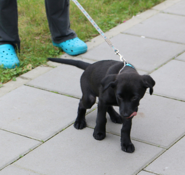 Olomoucké poplatky a vyhlášky čekají změny