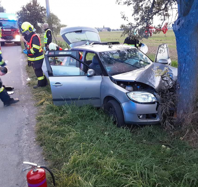 Auto u Renot narazilo do stromu, pět lidí je zraněných
