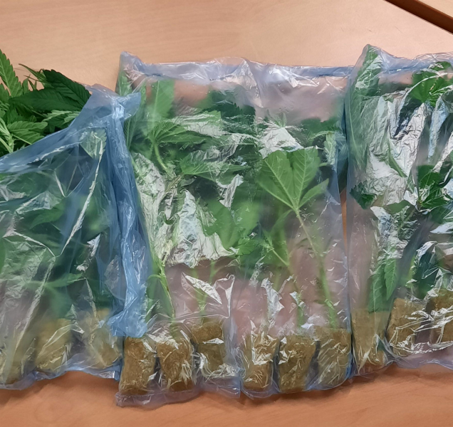 Cizinec jedoucí po dálnici měl v autě sazenice konopí