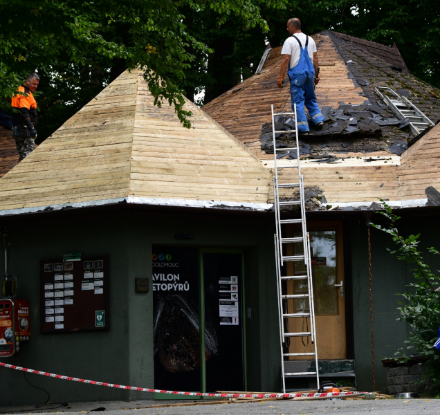 Olomoučtí netopýři se dočkají nového ubytování v zoo