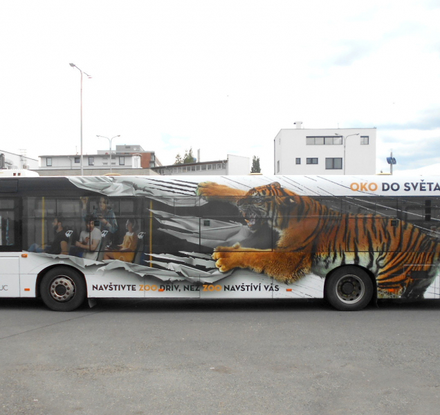 Ulicemi města se prohání tygr z olomoucké zoo