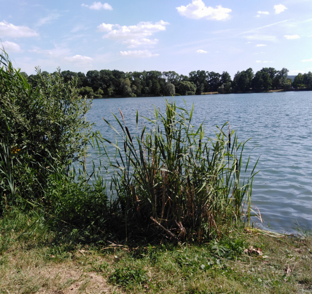 Rady a doporučení pro letní prázdniny