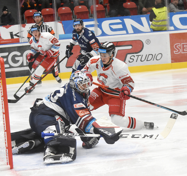 Program sportovních akcí na Olomoucku