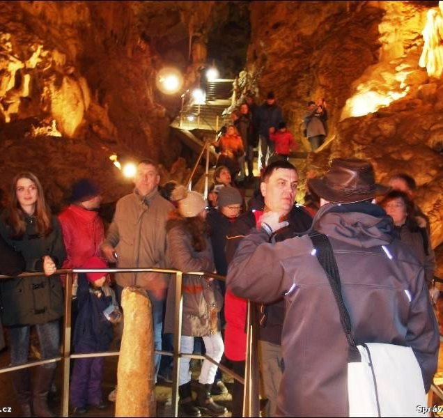 Probouzení netopýrů: buďte při tom, když noční tvorové ožívají