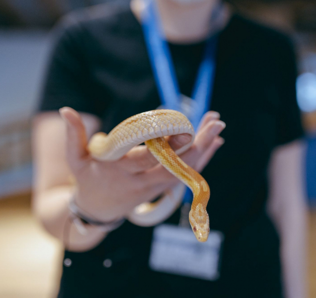 Chcete poznat ty nejjedovatější hady a štíry na světě?