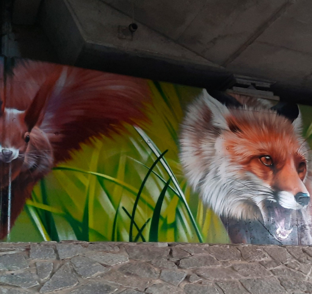 Pod mostem u Zvole vás překvapí divoká zvířata