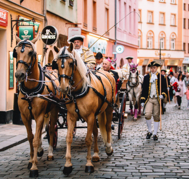 Jak vylepšit Svátky města Olomouce?