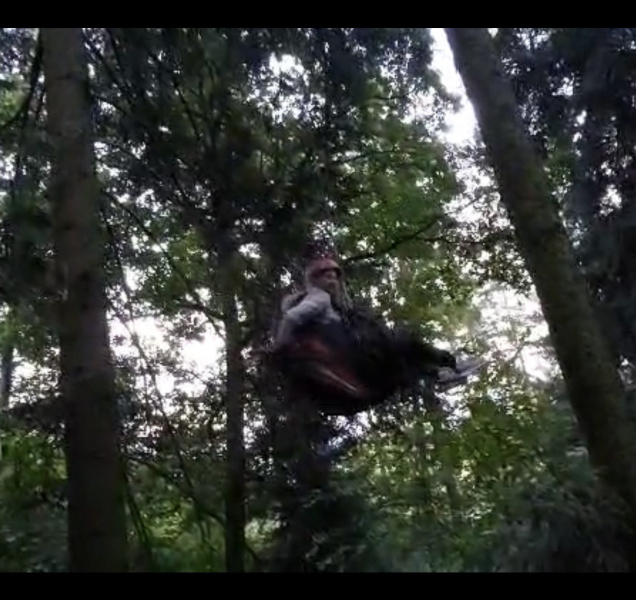 Mladá paraglidistka nezvládla manévr a skončila v korunách stromů