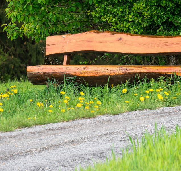 Zloděj ukradl dřevěnou lavičku z lesního odpočívadla u Kokor