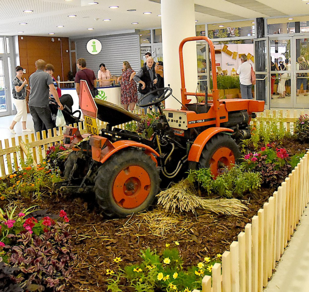 Fotoprocházka olomouckou Florou 2019