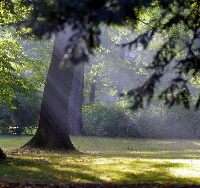 Léto skončilo, už se mohou objevit i přízemní mrazíky