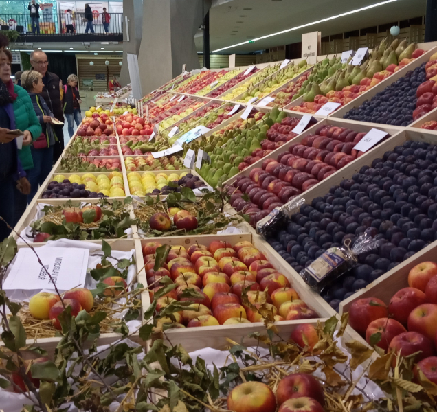 FOTO: Podzimní Flora nabízí jablka a Havlovu Zahradní slavnost