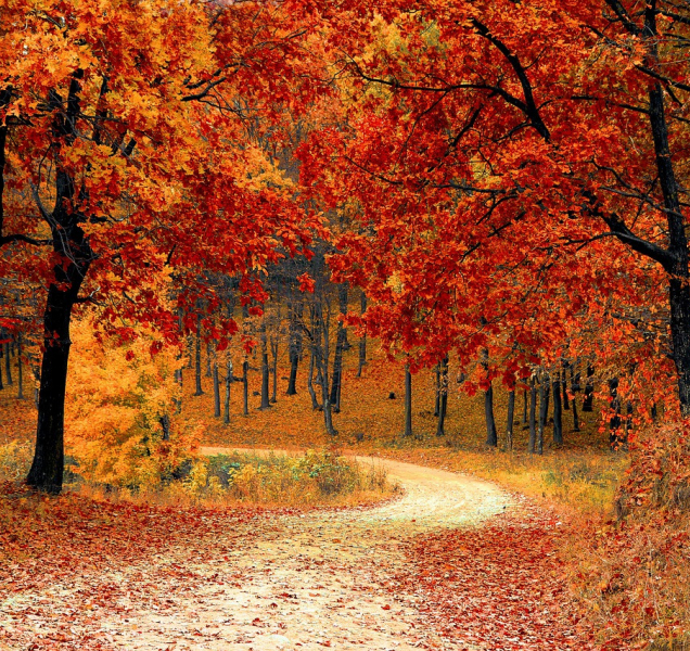 V kraji nás čeká další sobota s dvacítkami