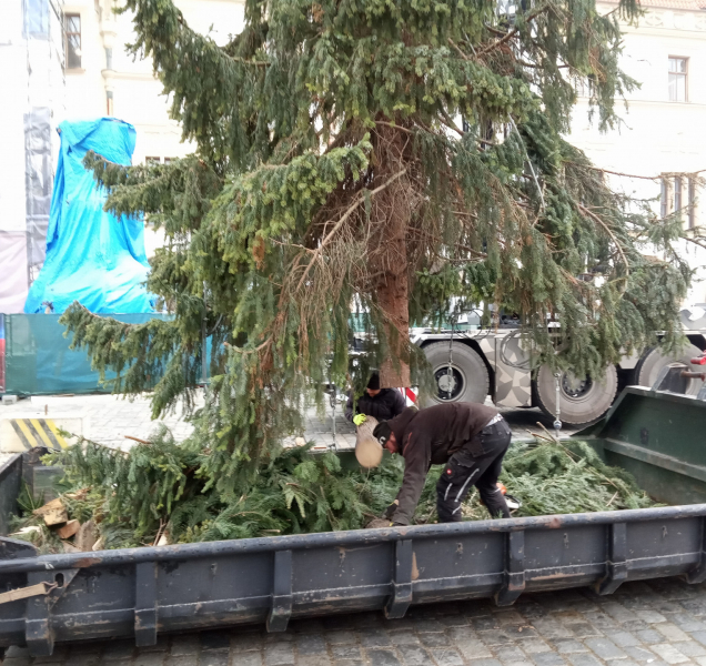 Vánoční strom Křovínek zmizel z Horního náměstí