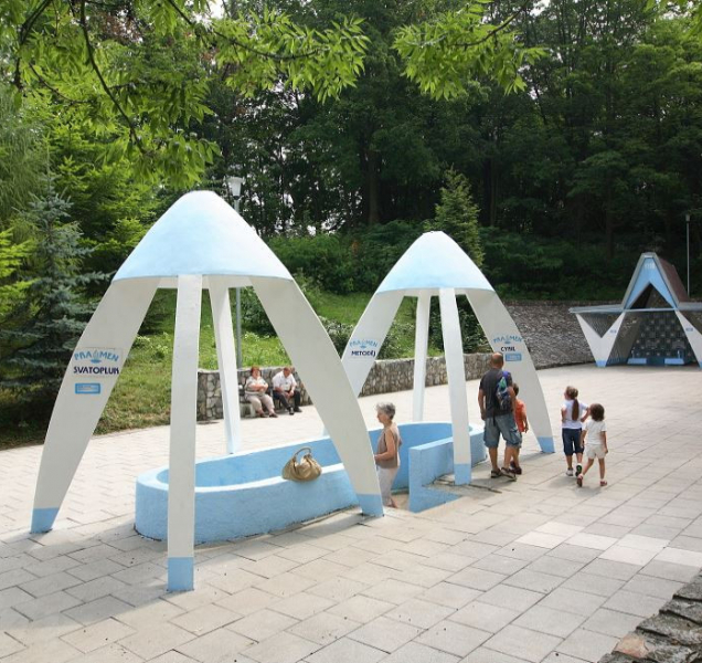 Za ohrožení lázeňských pramenů firma dostala pokutu