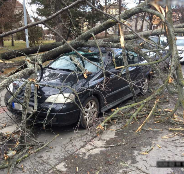 Sabine řádila také v Olomouci