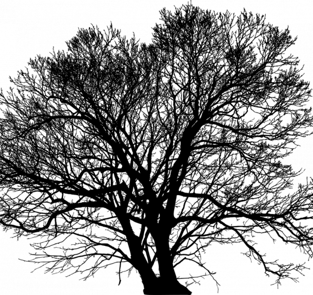 Rtuť na teploměru vyleze přes deset stupňů