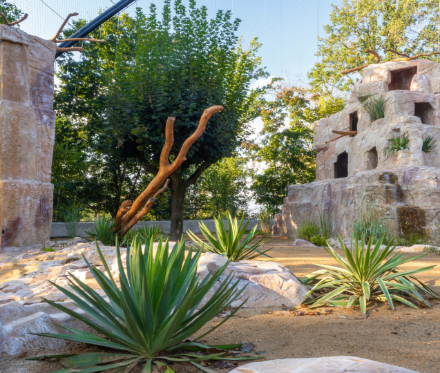 Zoo Olomouc navštívilo více lidí. Lákala i obří voliéra