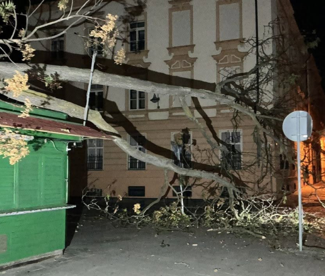 Na stánek u tržnice spadl strom! Radnice radši vykácí i okolní dřeviny