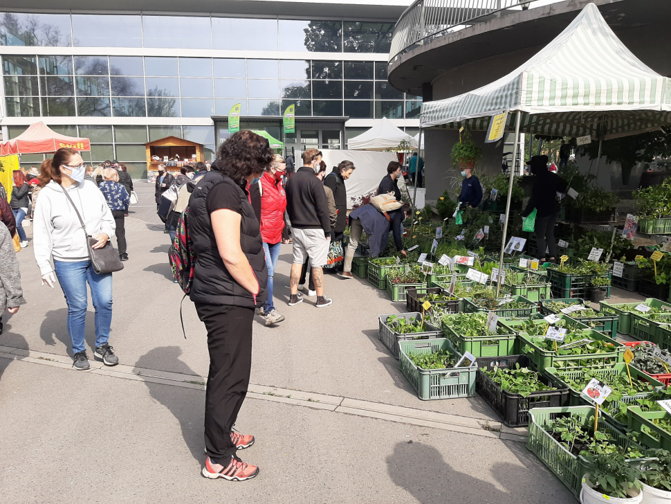 Na Floře probíhají Zahradnické trhy