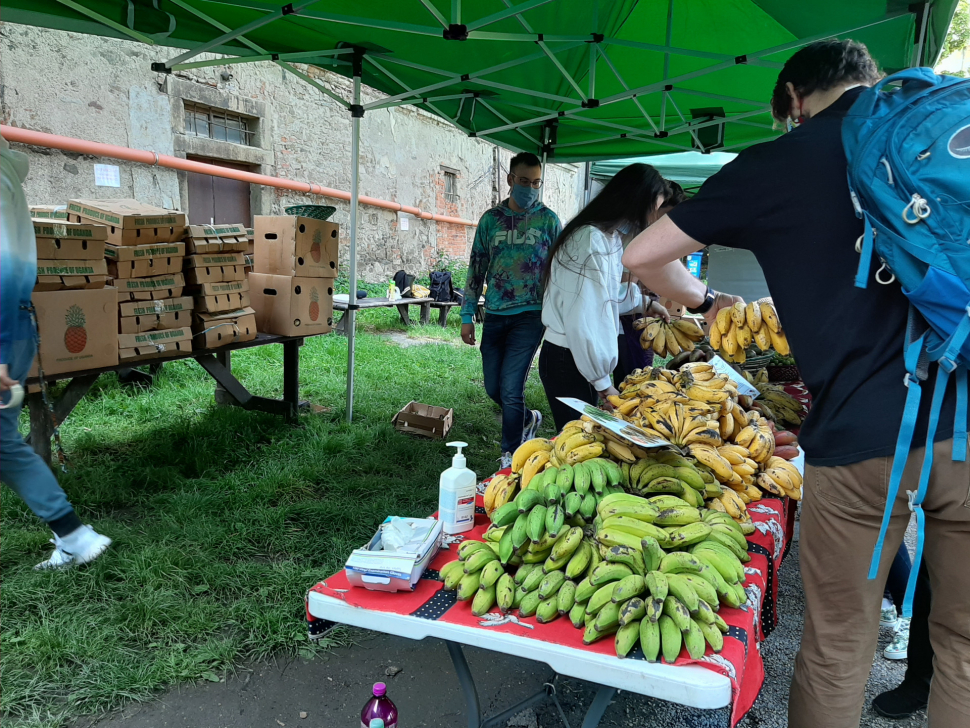 Africké trhy voní v areálu olomouckého letního kina