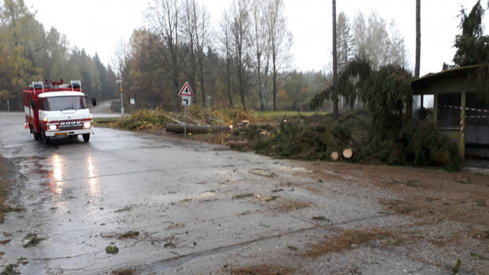 Víkendová vichřice za sebou zanechala zkázu, vítr překročil i 125 km/h