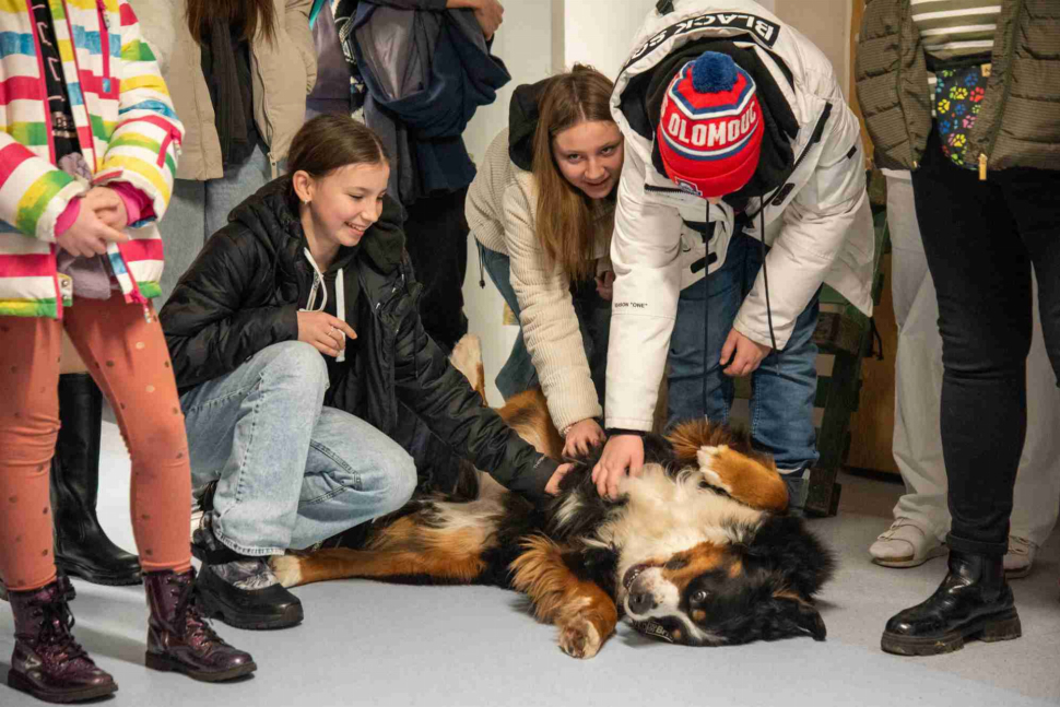 Studenti gymnázia se složili na canisterapii pro fakultku